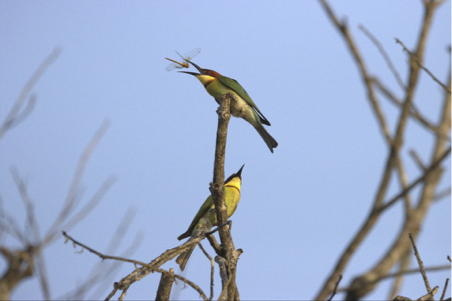 Scenic view of Badulla